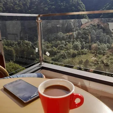 Apartment Forest Colina Marei Sinaia